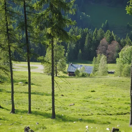Alm Chalet Ransburgalm Domek alpejski Flachau